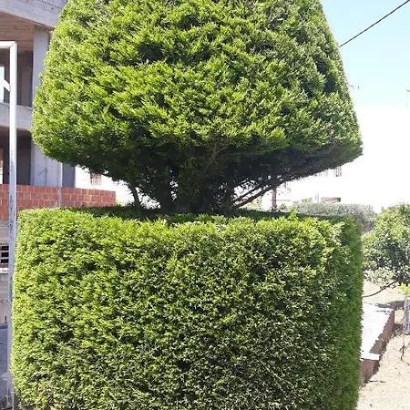 Appartamento Pela