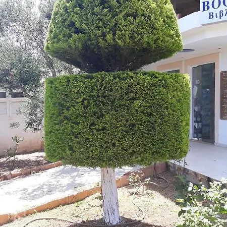 Pela